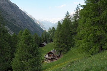 Fototapeta na wymiar Domki na pastwiskach nad Zermatt w Alpach szwajcarskich