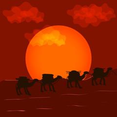 Vector background with camelcade
