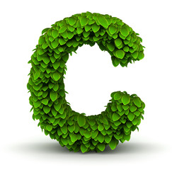 Leaves font letter C