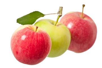 apples on a white background