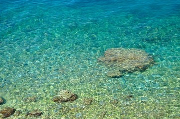 Fototapeta na wymiar Amazing beach with crystal clear water. Podgora, Croatia
