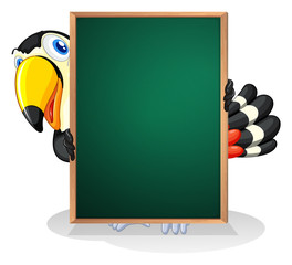 A tucan holding an empty framed board © GraphicsRF
