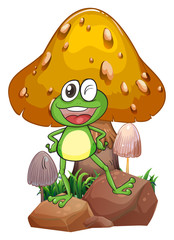 A smiling frog near the giant mushroom