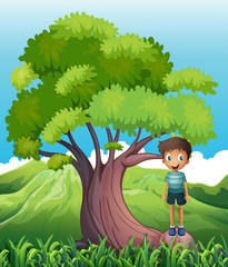 A boy standing on a root of a tree