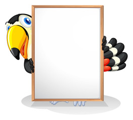 A tucan © GraphicsRF