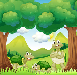 Three turtles in the woods