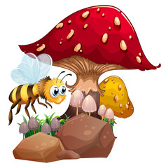A bee near the giant red mushroom