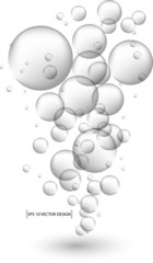 water bubbles Vector illustration. 