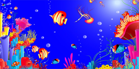 Fototapeta na wymiar marine life. fish jellyfish, red sea, starfish