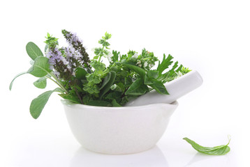 White porcelain mortar and pestle with fresh herbs