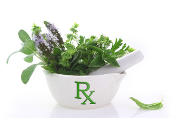 Porcelain mortar with rx symbol and fresh herbs