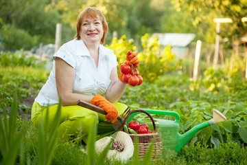  woman with vegetables harvest