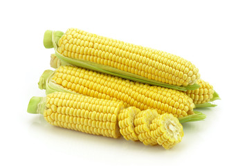 Kukurydza na białym tle