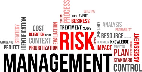 word coud - risk management