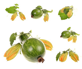 Green raw  pumpkin with leaves isolated
