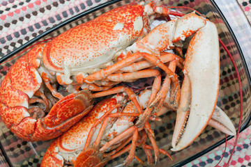 Lobster - crawfish