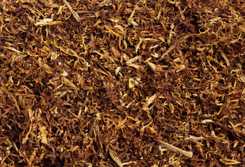 Fototapeta premium Tobacco Tütün