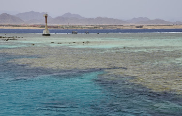 Red Sea Tiran