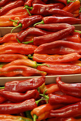 Red chilli peppers at market stall, close-up