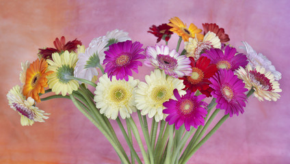 A bunch of colorful gerberas.