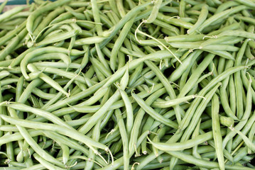 Harvested green beans