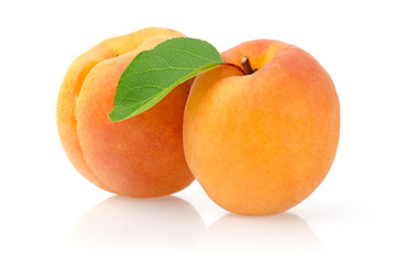 Ripe Apricots with Leaf Isolated on White Background
