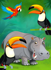 Cartoon tropical or safari - illustration