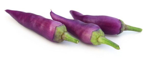 Fresh violet chili peppers