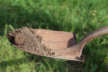 Shovel