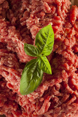 Organic Raw Grass Fed Ground Beef