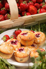 summer muffins