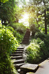 Stone stairs in park © komar.maria