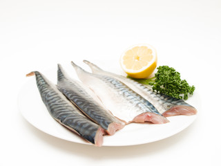 Raw mackerel fish filet
