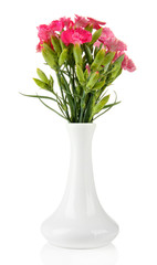 Bouquet of carnations in vase, isolated on white