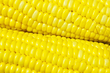corn