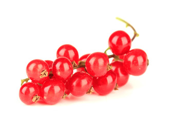 Redcurrants isolated on white