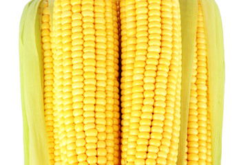 Crude corns isolated on white