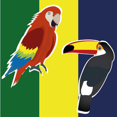 parrot and toucan