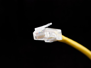 network cable