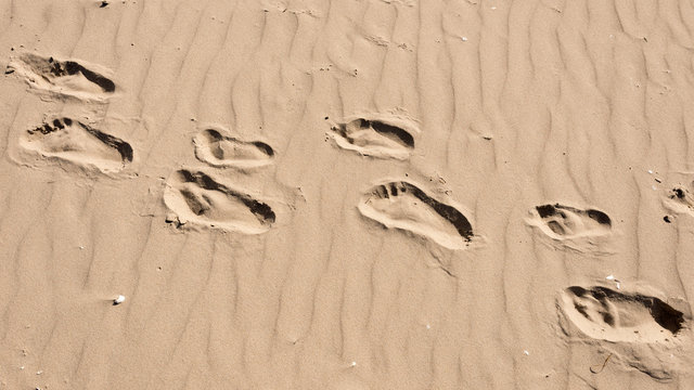 Fu&szlig;spuren im Sand