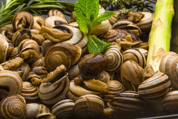 Escargot with asparagus, rosemary, thymus and tomato