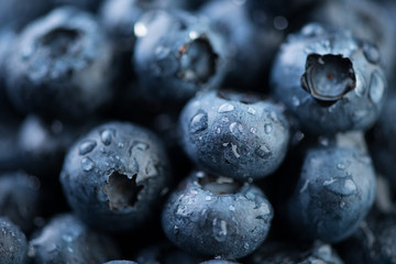 Blueberries covered with drops of water, horizontal shot, macro