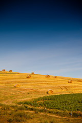 Straw bales