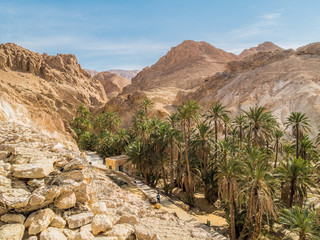 mountain oasis Chebika in Sahara desert, Tunisia - 54830507