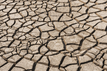 cracked soil ground into the dry season