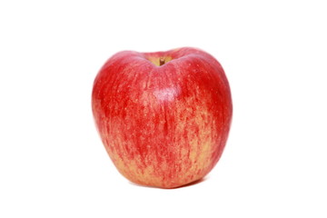 isolated apple in white background