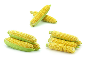 Kukurydza na białym tle