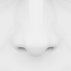 nose 3d