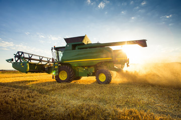 Naklejka premium Moissonneuse batteuse campagne blé