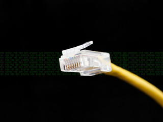 network cable